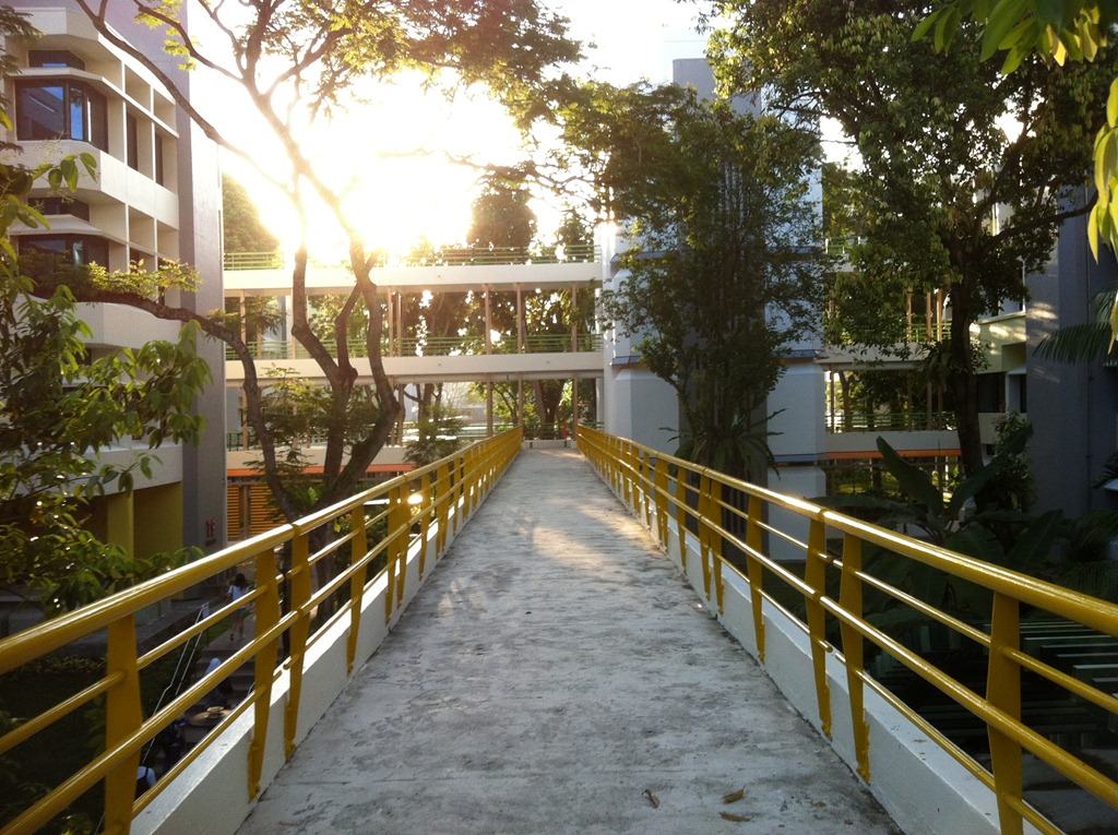 [IMG_6519%255B3%255D.jpg]