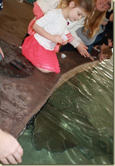 IMG_8140 IMG_8140