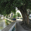 C20060203-1256_img_3216_1600x1200.jpg