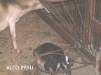 PICT0855.JPG