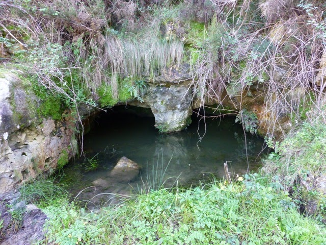 [P1140066%255B6%255D.jpg]