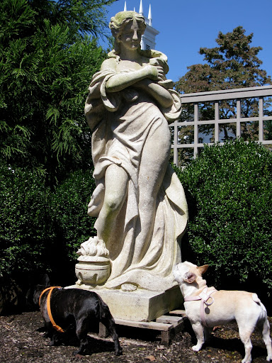 We should carve a statue of our goddess - Martha.
