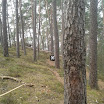 2013-03-30 10.15.46.jpg