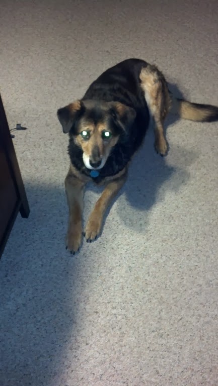 [IMG_20140126_200026_456%255B3%255D.jpg]