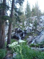 P8080270.JPG