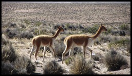 IMG_1757 IMG_1757