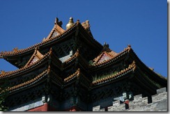 IMG_7735 IMG_7735