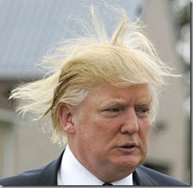 Trump hair