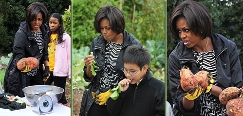 [Screenshot-Studio-capture-14133.jpg]