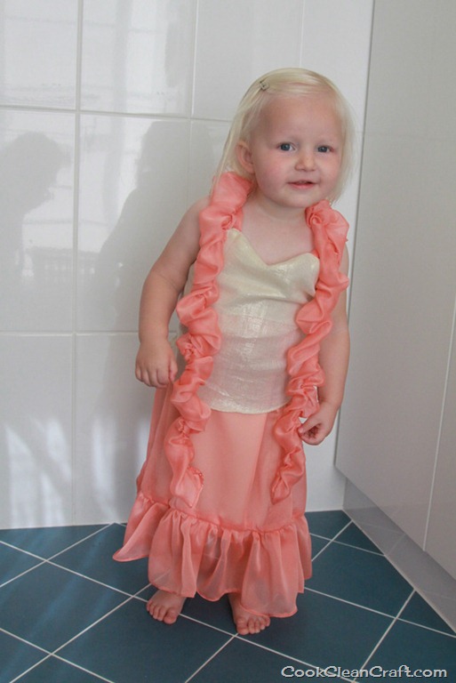 [Peaches-and-Cream-Barbie-Dress-329%255B1%255D.jpg]