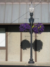 IMG_419702 IMG_419702