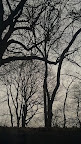 IMAG0336.jpg