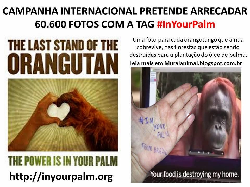 [tag%2520inyourpalm%255B3%255D.jpg]