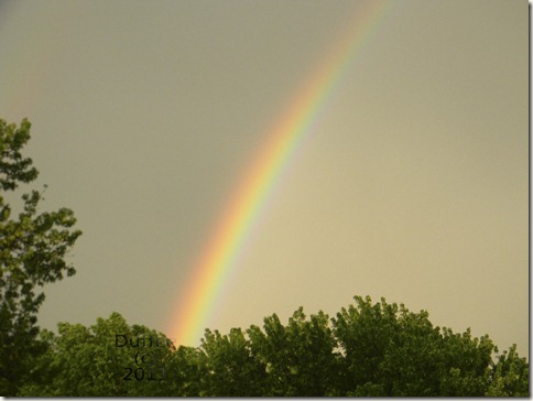 Rainbow 05-22