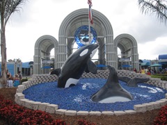 IMG_7489 IMG_7489