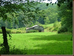 2011_0718VIRGINIA_CREEPER0008