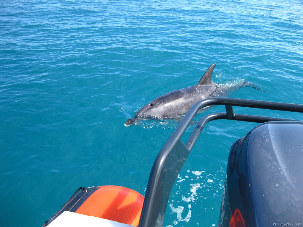 [IMG_0019%255B3%255D.jpg]