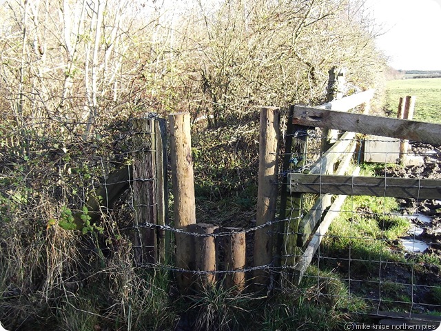 kitty's wood winter 2012 kitty's wood winter 2012