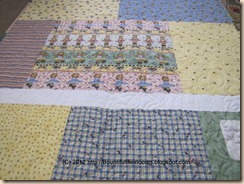 (C) 2012 http://BountifulHeirlooms.blogspot.com (C) 2012 http://BountifulHeirlooms.blogspot.com