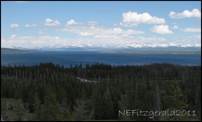 Yellowstone LakeFrom Overlook Trail
