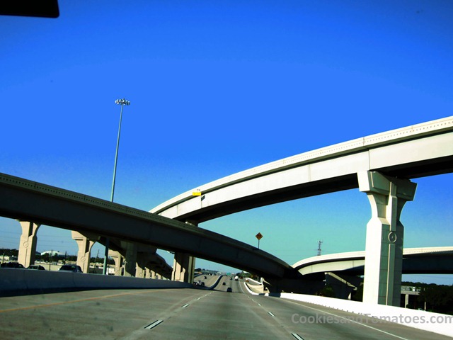 [Houston-407.jpg]