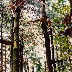 Adventure Centre History - 071.jpg