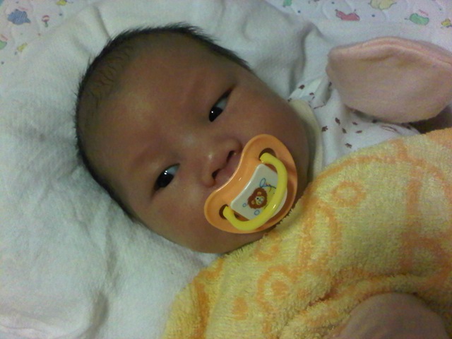 [IMG00904-20111231-2316%255B3%255D.jpg]