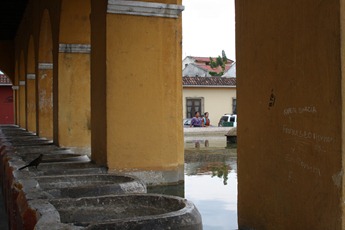 IMG_2732 IMG_2732