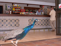 i en restaurang...