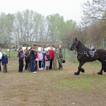 IMGP0288.JPG