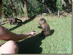 IMG_0420 IMG_0420