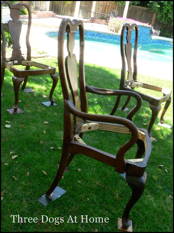 [pants%2520chairs%2520knobs%2520hall%2520020%255B2%255D.jpg]