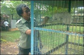 Pucak maros0986 Pucak maros0986