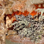 1423-11.JPG
