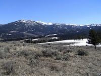 Lemondrop04-13 008.JPG Photo