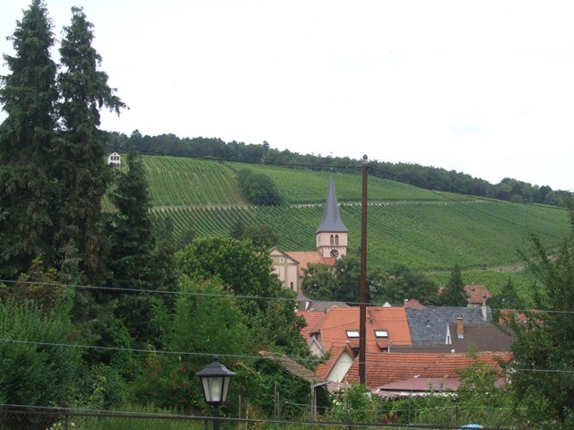 [JH%252015%2520Jul%2520Strasburg%2520%2526%2520Alsace%2520Wine%2520Area%2520199%255B3%255D.jpg]