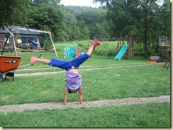 IMG_2258 IMG_2258