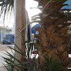 Tunesien-12-2010-305.JPG