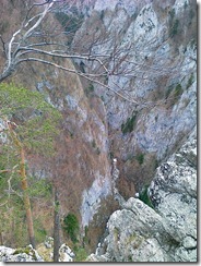 06042011336