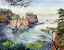 janda - Cape%252520Flattery.jpg