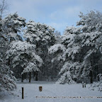 3-1-2010-025.jpg