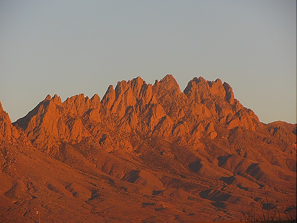 [IMG_84516.jpg]