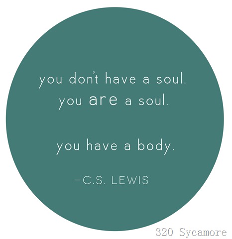 you are a soul