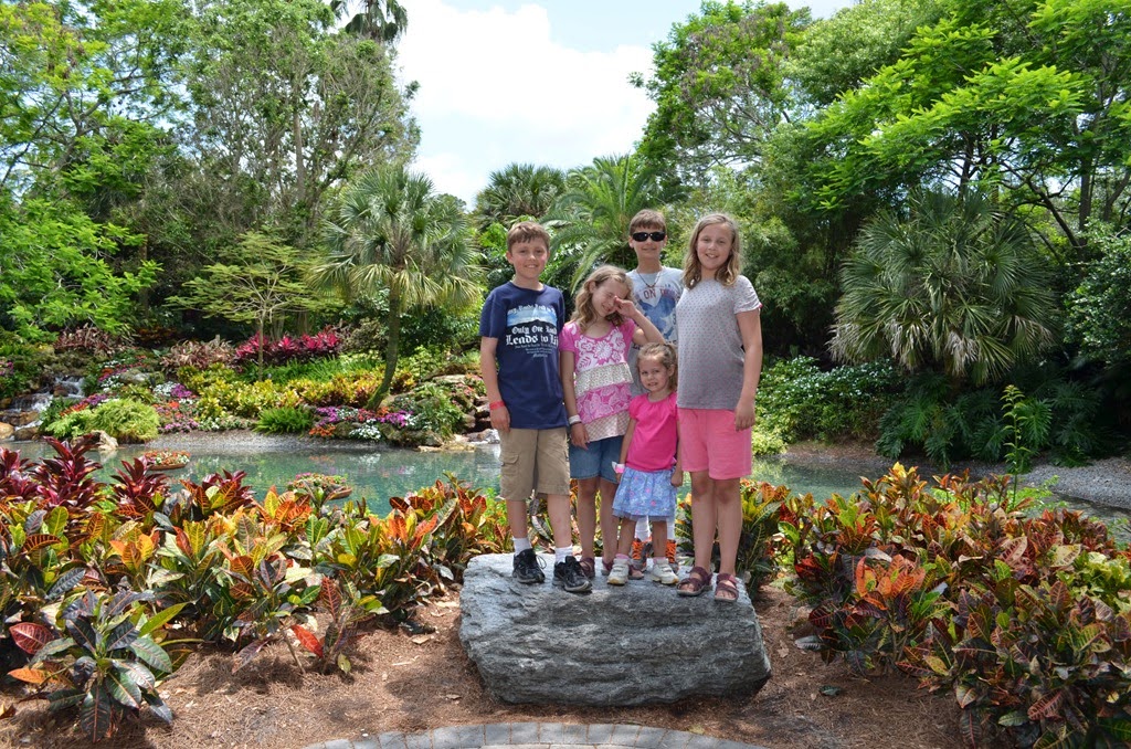 [DSC_8443%255B3%255D.jpg]