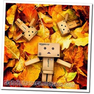 danbo (1)