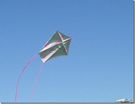 a-form-three-stick-kite-made-with-tyvek-covering-21522179