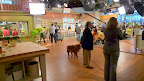 On set, G.K. started strutting around like he was some sort of executive producer.