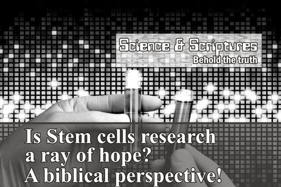 Is Stem Cells research a ray of hope_The CALL