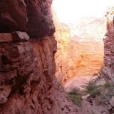 Salta Salta