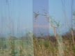 TER to Nîmes